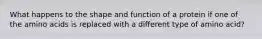 What happens to the shape and function of a protein if one of the amino acids is replaced with a different type of amino acid?
