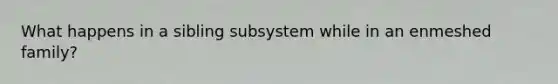 What happens in a sibling subsystem while in an enmeshed family?