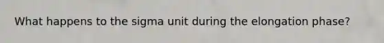 What happens to the sigma unit during the elongation phase?