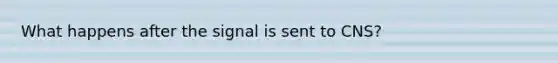 What happens after the signal is sent to CNS?