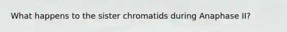 What happens to the sister chromatids during Anaphase II?