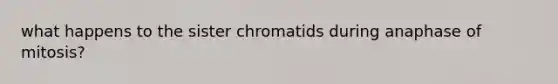 what happens to the sister chromatids during anaphase of mitosis?