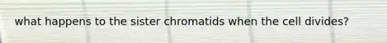 what happens to the sister chromatids when the cell divides?