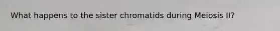 What happens to the sister chromatids during Meiosis II?