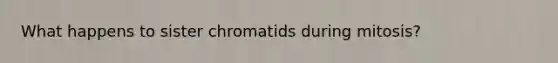 What happens to sister chromatids during mitosis?