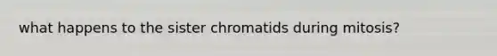 what happens to the sister chromatids during mitosis?