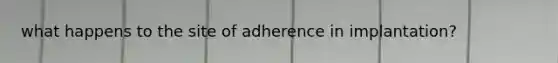 what happens to the site of adherence in implantation?