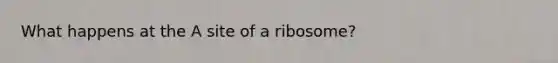 What happens at the A site of a ribosome?