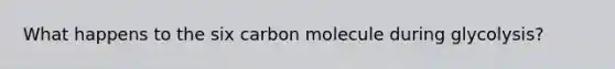 What happens to the six carbon molecule during glycolysis?