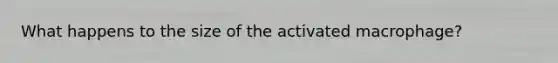 What happens to the size of the activated macrophage?