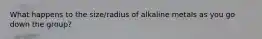 What happens to the size/radius of alkaline metals as you go down the group?