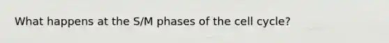 What happens at the S/M phases of the cell cycle?