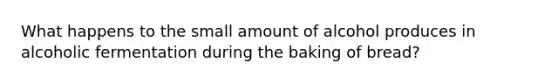 What happens to the small amount of alcohol produces in alcoholic fermentation during the baking of bread?