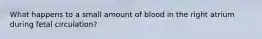 What happens to a small amount of blood in the right atrium during fetal circulation?