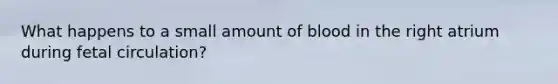 What happens to a small amount of blood in the right atrium during fetal circulation?
