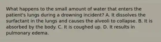 What happens to the small amount of water that enters the​ patient's lungs during a drowning​ incident? A. It dissolves the surfactant in the lungs and causes the alveoli to collapse. B. It is absorbed by the body. C. It is coughed up. D. It results in pulmonary edema.