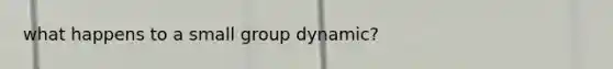 what happens to a small group dynamic?