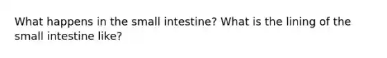 What happens in the small intestine? What is the lining of the small intestine like?