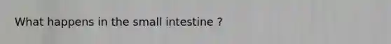 What happens in the small intestine ?