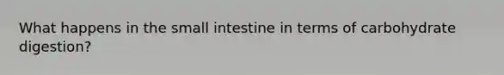 What happens in the small intestine in terms of carbohydrate digestion?