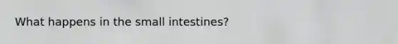 What happens in <a href='https://www.questionai.com/knowledge/kt623fh5xn-the-small-intestine' class='anchor-knowledge'>the small intestine</a>s?