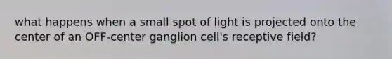 what happens when a small spot of light is projected onto the center of an OFF-center ganglion cell's receptive field?