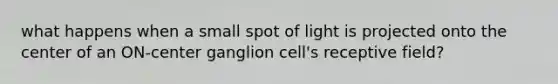 what happens when a small spot of light is projected onto the center of an ON-center ganglion cell's receptive field?