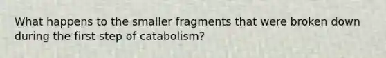 What happens to the smaller fragments that were broken down during the first step of catabolism?