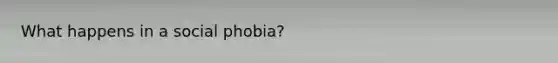 What happens in a social phobia?