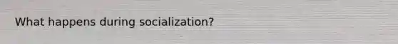 What happens during socialization?