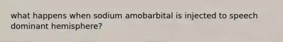 what happens when sodium amobarbital is injected to speech dominant hemisphere?