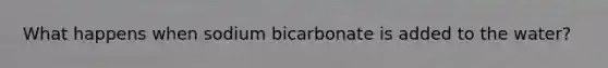 What happens when sodium bicarbonate is added to the water?