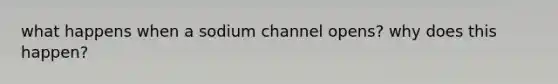 what happens when a sodium channel opens? why does this happen?