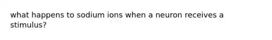 what happens to sodium ions when a neuron receives a stimulus?