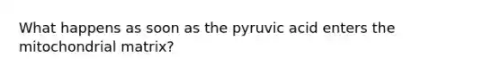 What happens as soon as the pyruvic acid enters the mitochondrial matrix?