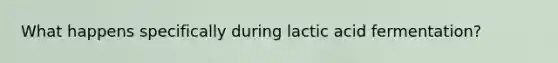 What happens specifically during lactic acid fermentation?