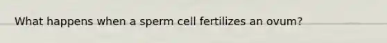 What happens when a sperm cell fertilizes an ovum?