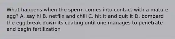 What happens when the sperm comes into contact with a mature egg? A. say hi B. netflix and chill C. hit it and quit it D. bombard the egg break down its coating until one manages to penetrate and begin fertilization