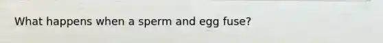 What happens when a sperm and egg fuse?