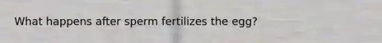 What happens after sperm fertilizes the egg?