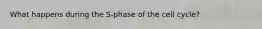 What happens during the S-phase of the cell cycle?