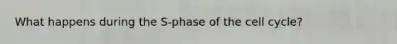 What happens during the S-phase of the cell cycle?