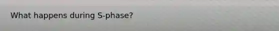 What happens during S-phase?