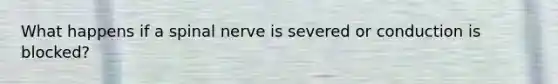 What happens if a spinal nerve is severed or conduction is blocked?