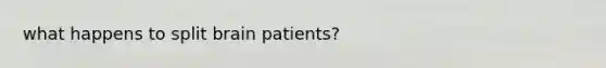 what happens to split brain patients?