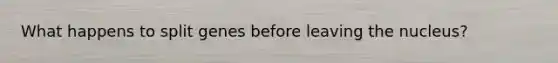 What happens to split genes before leaving the nucleus?