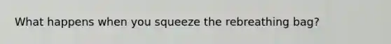 What happens when you squeeze the rebreathing bag?