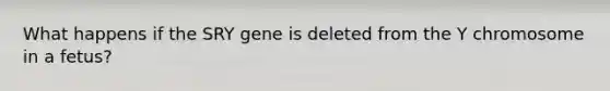 What happens if the SRY gene is deleted from the Y chromosome in a fetus?