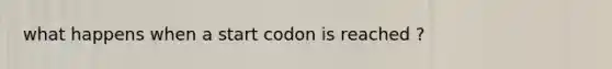 what happens when a start codon is reached ?