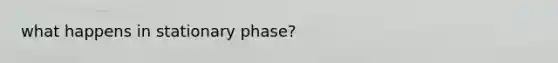 what happens in stationary phase?